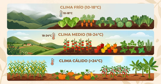 Infografia de pisos termicos y calendario de siembra organica en Colombia - SOMOS VIDA ORGANICA