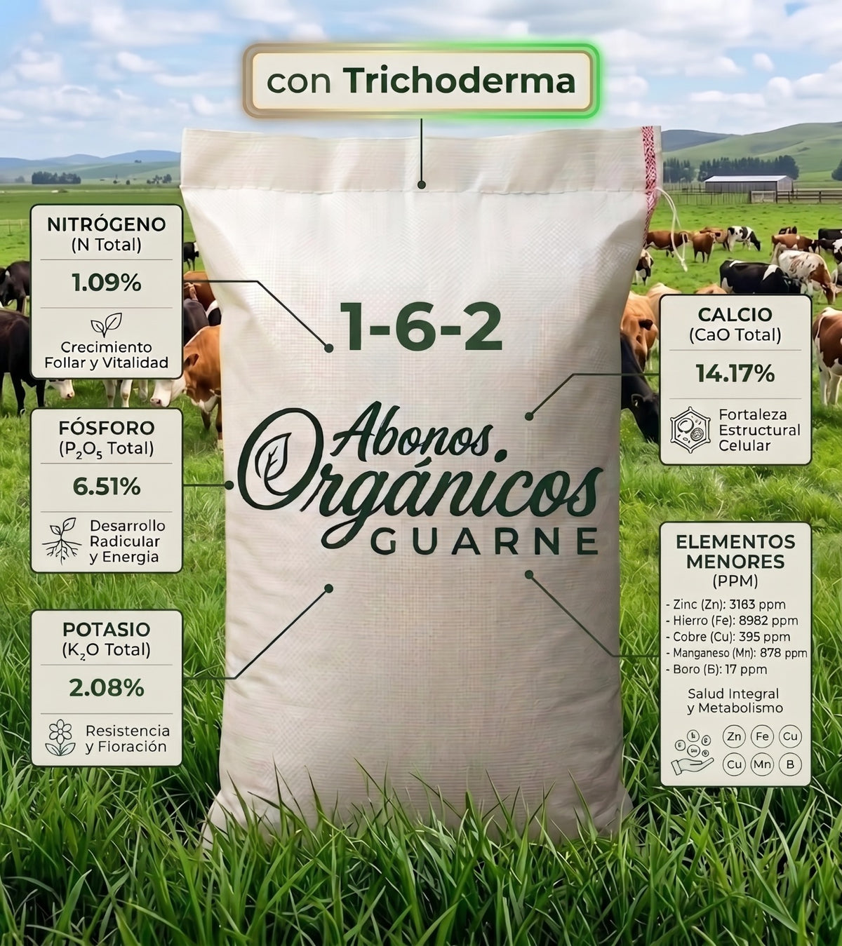 Abono Orgánico Mineral con Trichoderma 1-6-2 | Nutrición y Protección Radicular